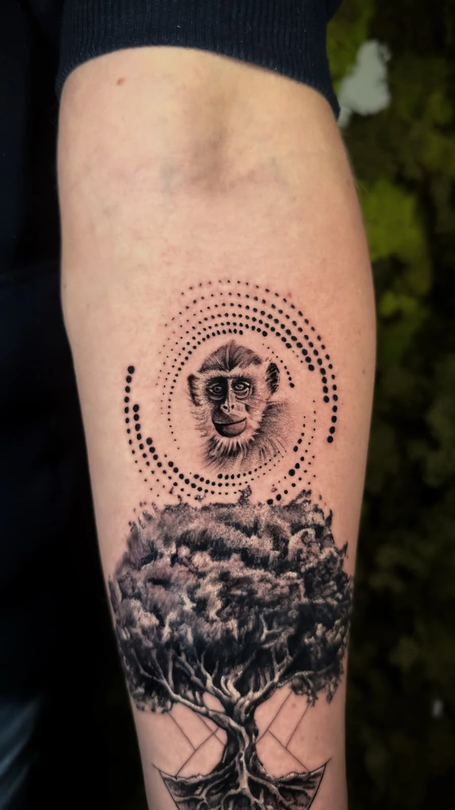 WhatsApp Image 2026-02-06 at 12.47.03 (1)