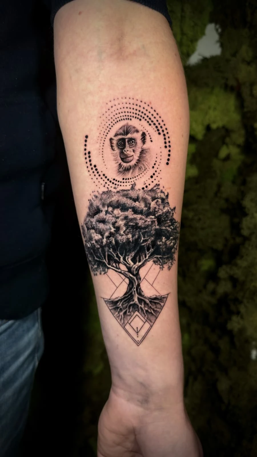 WhatsApp Image 2026-02-06 at 12.47.03