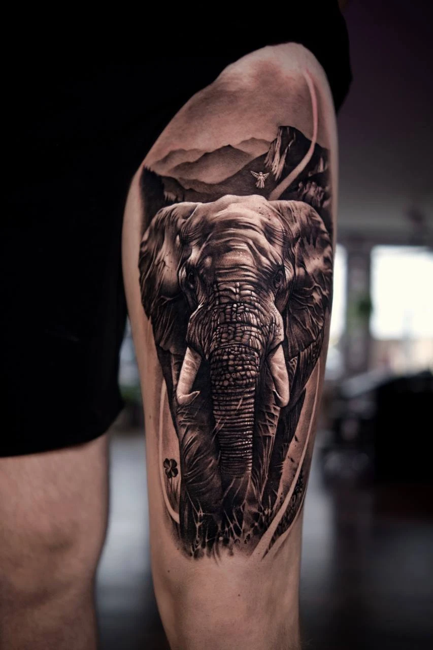 WhatsApp Image 2026-02-06 at 12.47.39 (3)