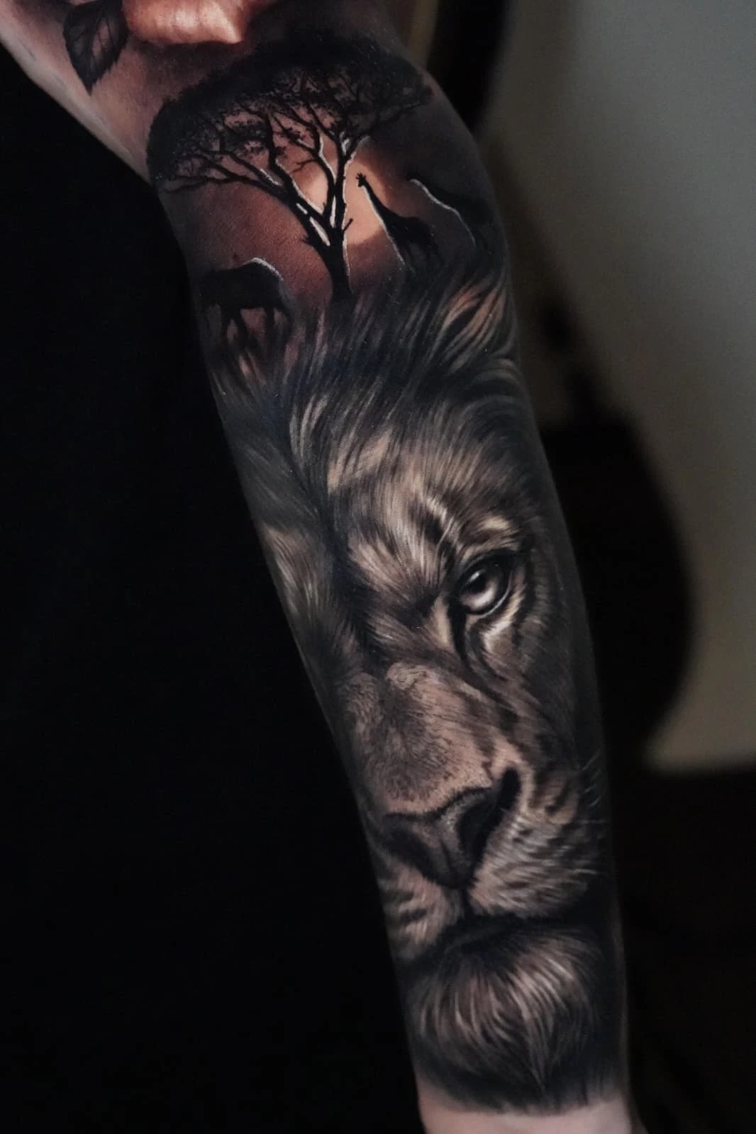 WhatsApp Image 2026-02-22 at 19.24.03