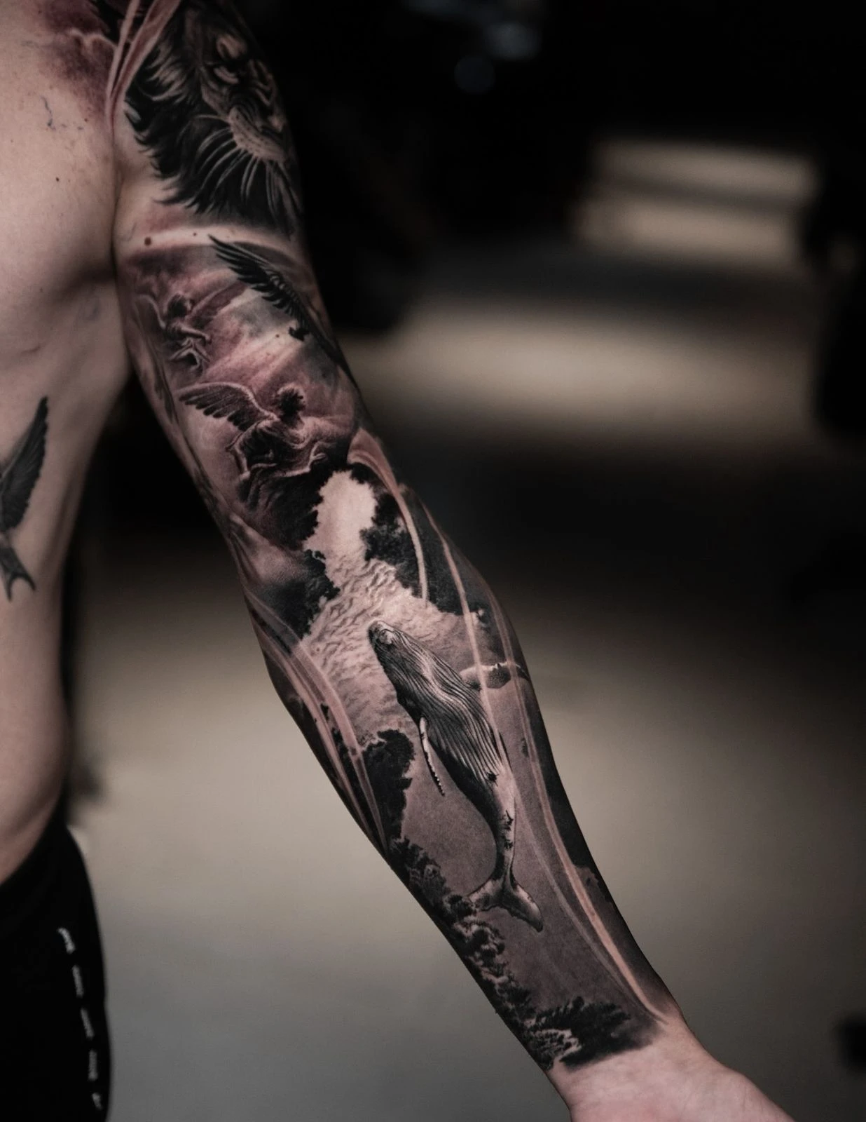 WhatsApp Image 2026-02-22 at 19.24.49