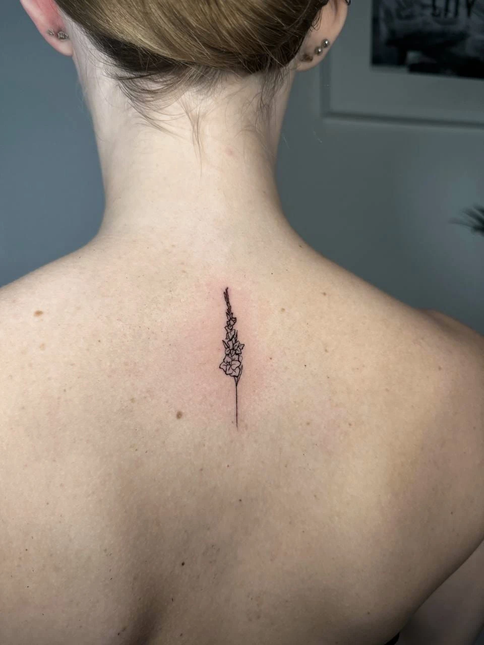 WhatsApp Image 2026-03-16 at 17.28.21 (1)