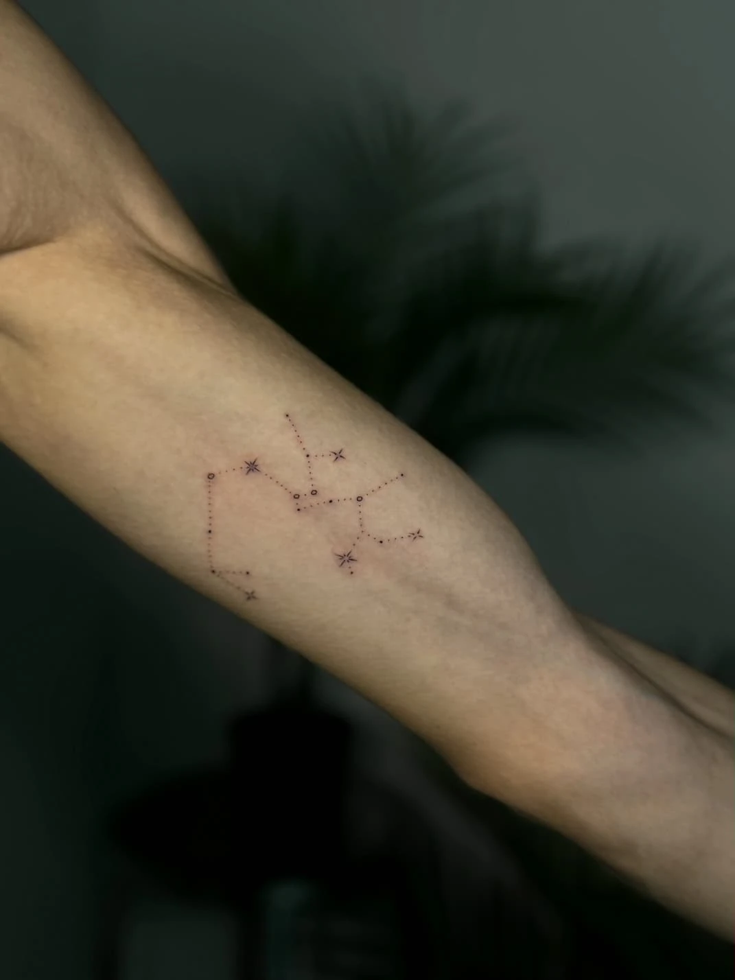 WhatsApp Image 2026-03-16 at 17.28.51