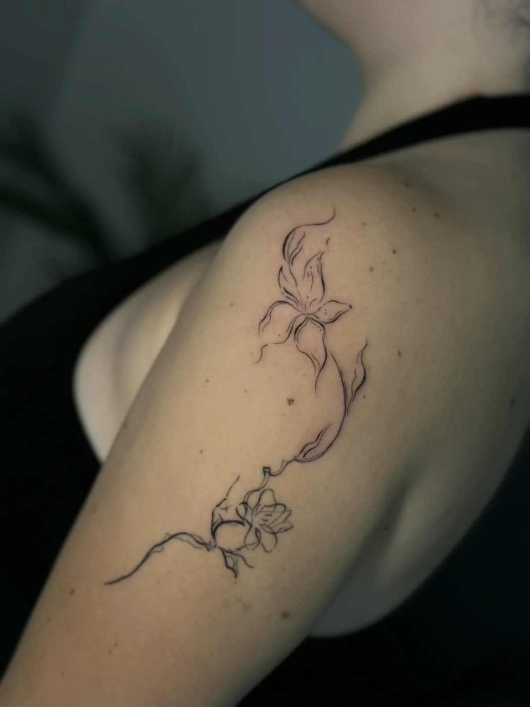 WhatsApp Image 2026-03-16 at 17.29.03