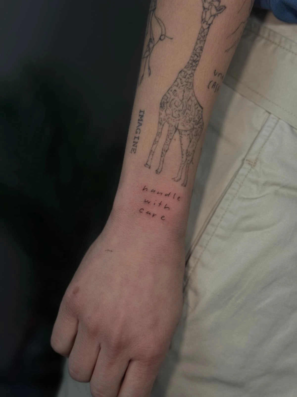 WhatsApp Image 2026-03-16 at 17.29.04