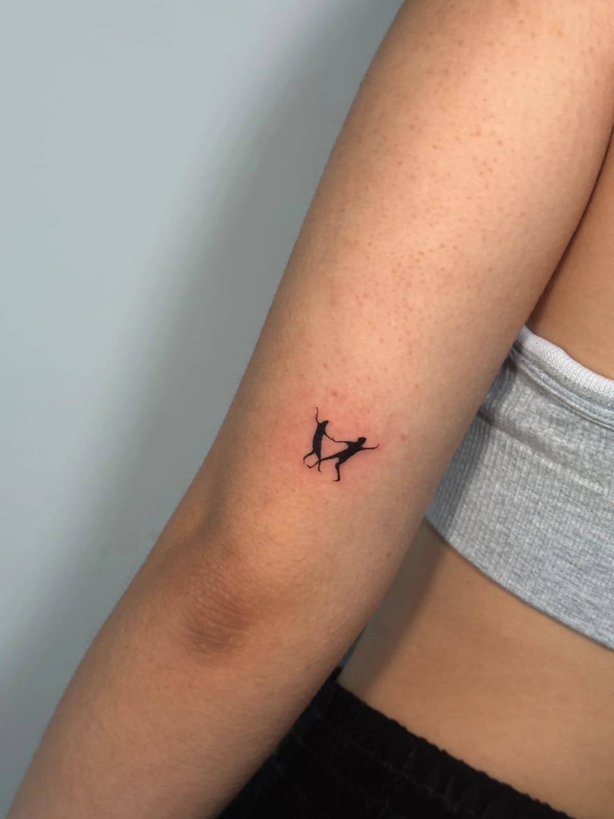 WhatsApp Image 2026-03-16 at 17.57.55 (1)