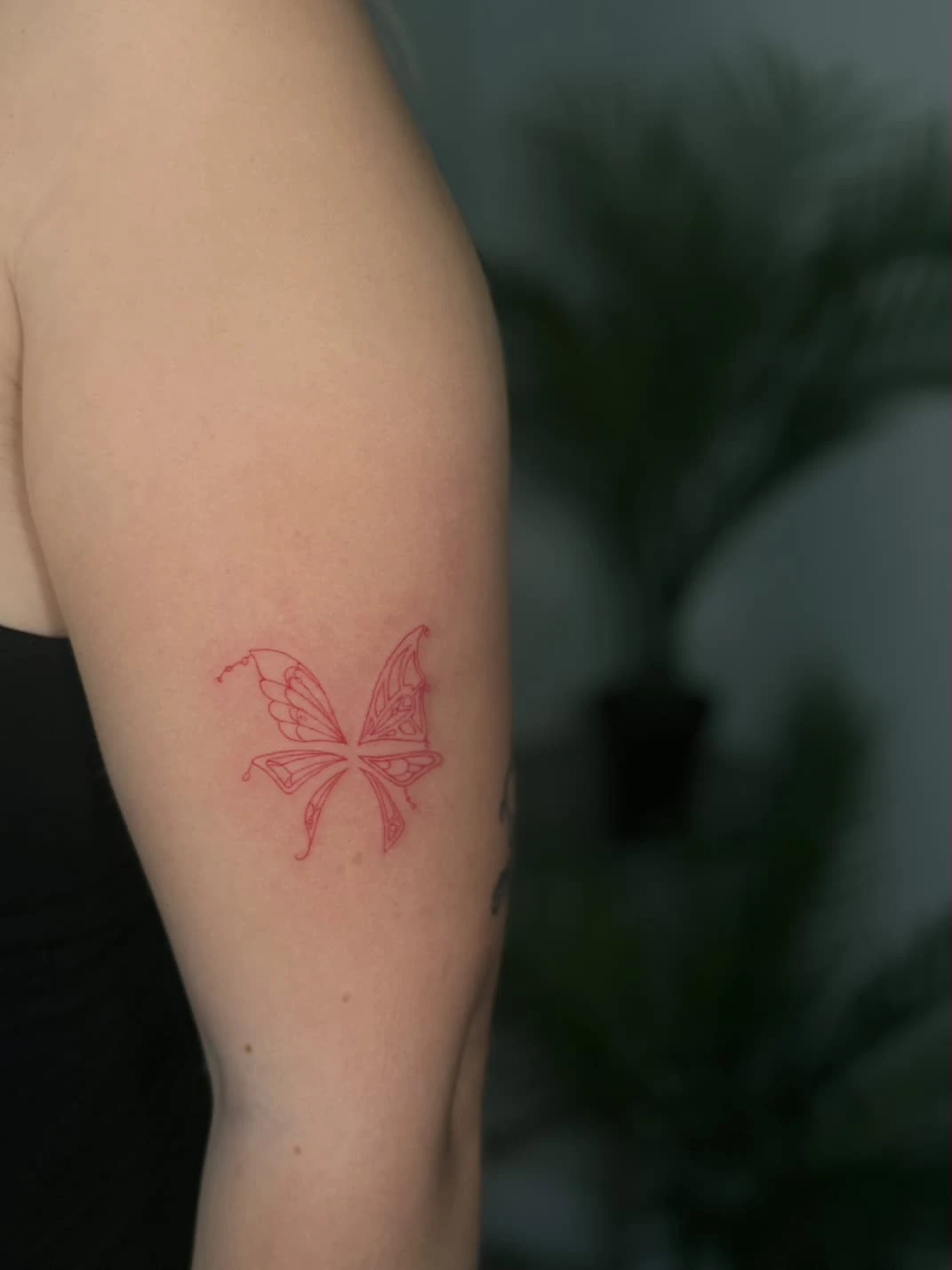 WhatsApp Image 2026-03-16 at 17.58.52 (1)