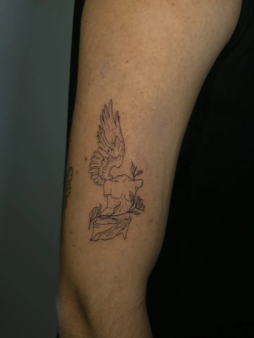 WhatsApp Image 2026-03-16 at 17.59.10 (1)