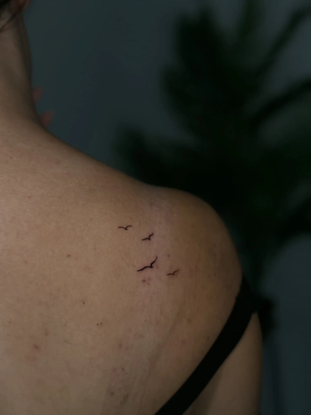 WhatsApp Image 2026-03-16 at 17.59.13