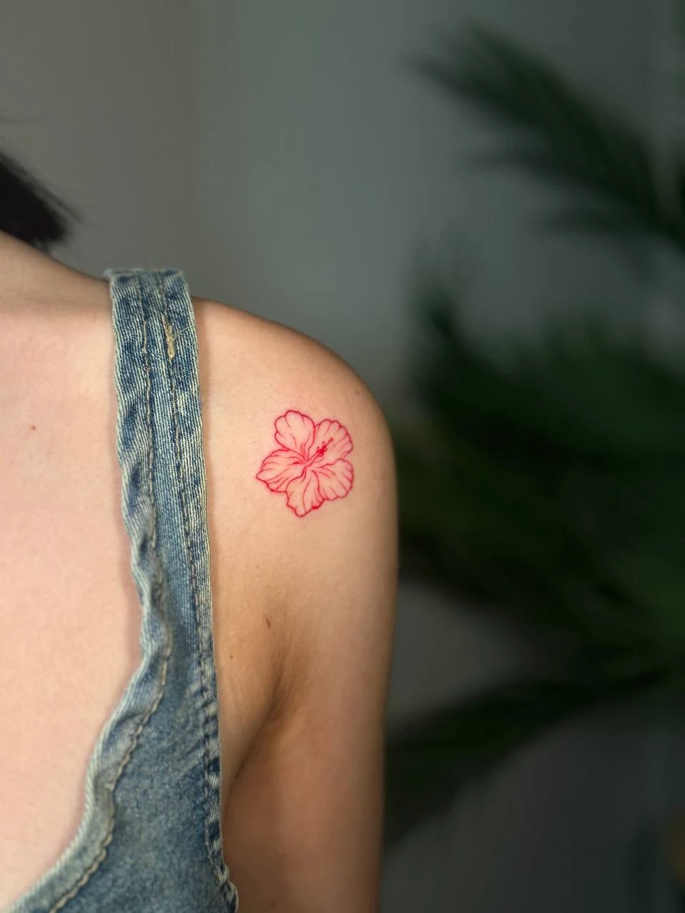 WhatsApp Image 2026-03-16 at 17.59.15 (1)